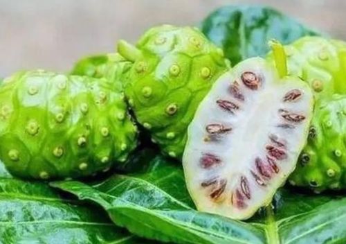 这种水果是世界上 最臭 的水果,但却被大面积种植,你见过吗